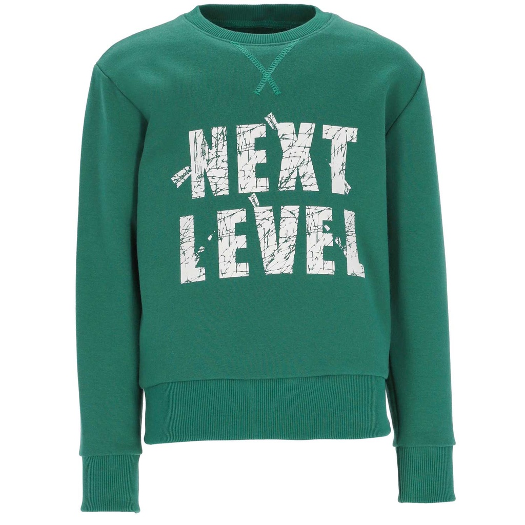 SWEAT GARÇON NEXT LEVEL