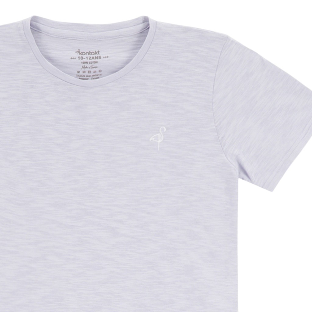 T-shirt flammé garçon manches courtes avec broderie