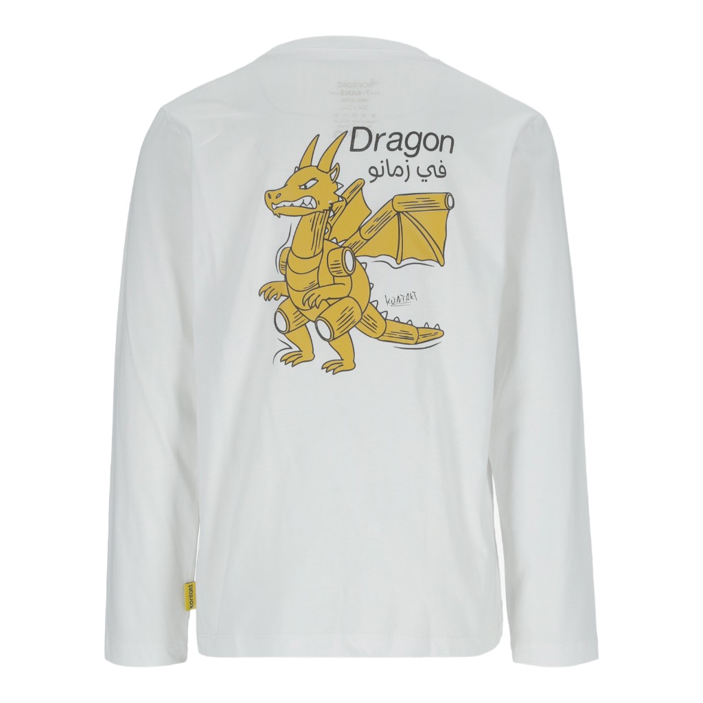 T-shirt garçon manches longues  Dragon