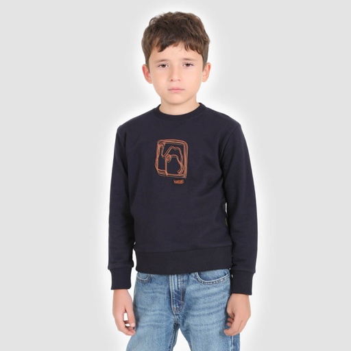 [05-010-36-116-K015-10/12A] Sweat garçon THE CAMEL (10/12A)