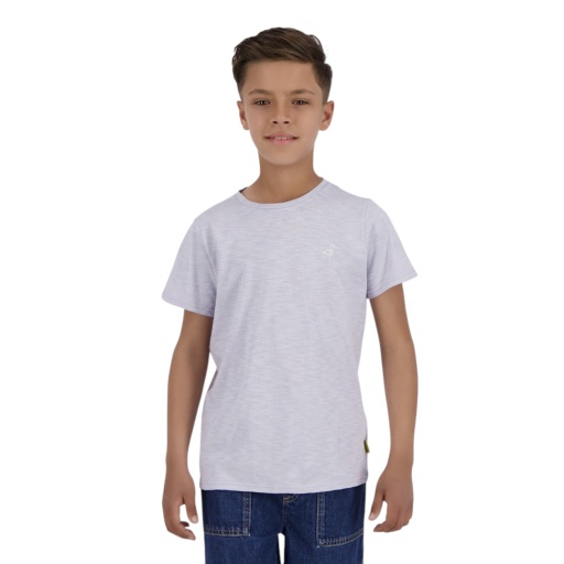 [05-010-02-637-K924-10/12A] T-shirt flammé garçon manches courtes avec broderie (Lavender, 10/12A)