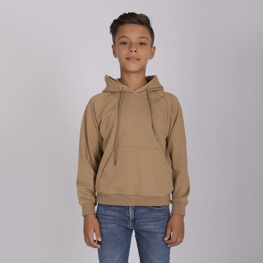 [05-010-36-180-K156-10/12A] Hoodie garçon manche raglan avec broderie (10/12A)