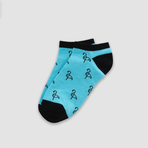 [05-010-110-012-K012-36-39] Chaussette unisexe adulte FLAMANT (Bleu Ciel, 36-39)