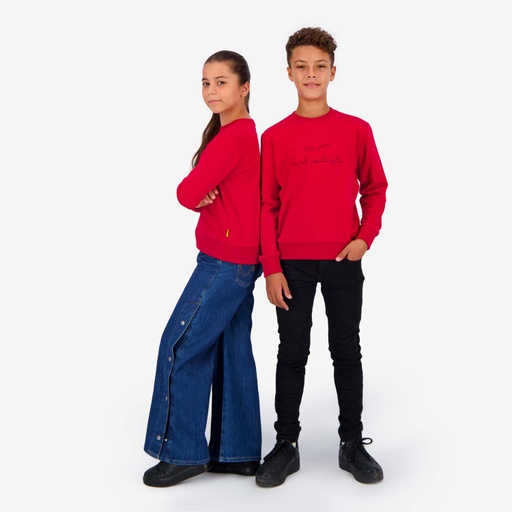 [05-010-36-230-K049-10-12A] Sweat unisexe Enfant THIS YEAR باش نكسر الدنيا (10-12A)