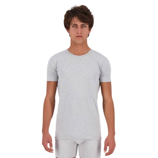 [05-01-02-820-K025-L] T-shirt slim homme col rond  en jersey (Gris Chiné, L)