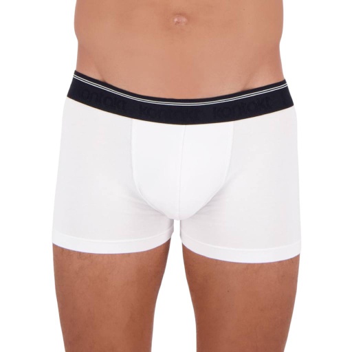 [05-010-41-009-K015-L] Shorty homme en coton stretch (Bleu Marine, L)