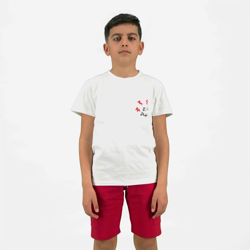 [05-010-02-853-K000-10/12A] T-shirt garçon manches courtes خارج التغطية (10/12A)