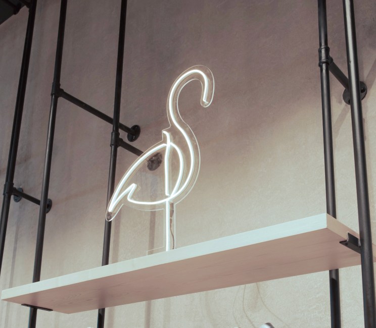 Dessin Animalier Flamant Rose Dessiné à La Main PNG , Clipart Flamant Rose,  Peinte à La Main, Dessin Animé Image PNG pour le téléchargement libre