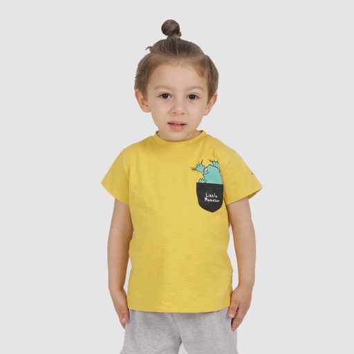 [05-010-02-237-K033-12M] T-shirt flammé bébé LITTLE MONSTER (12M)