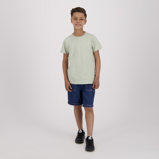 [05-010-02-637-K399-10/12A] T-shirt flammé garçon manches courtes avec broderie (Vert D'eau, 10/12A)