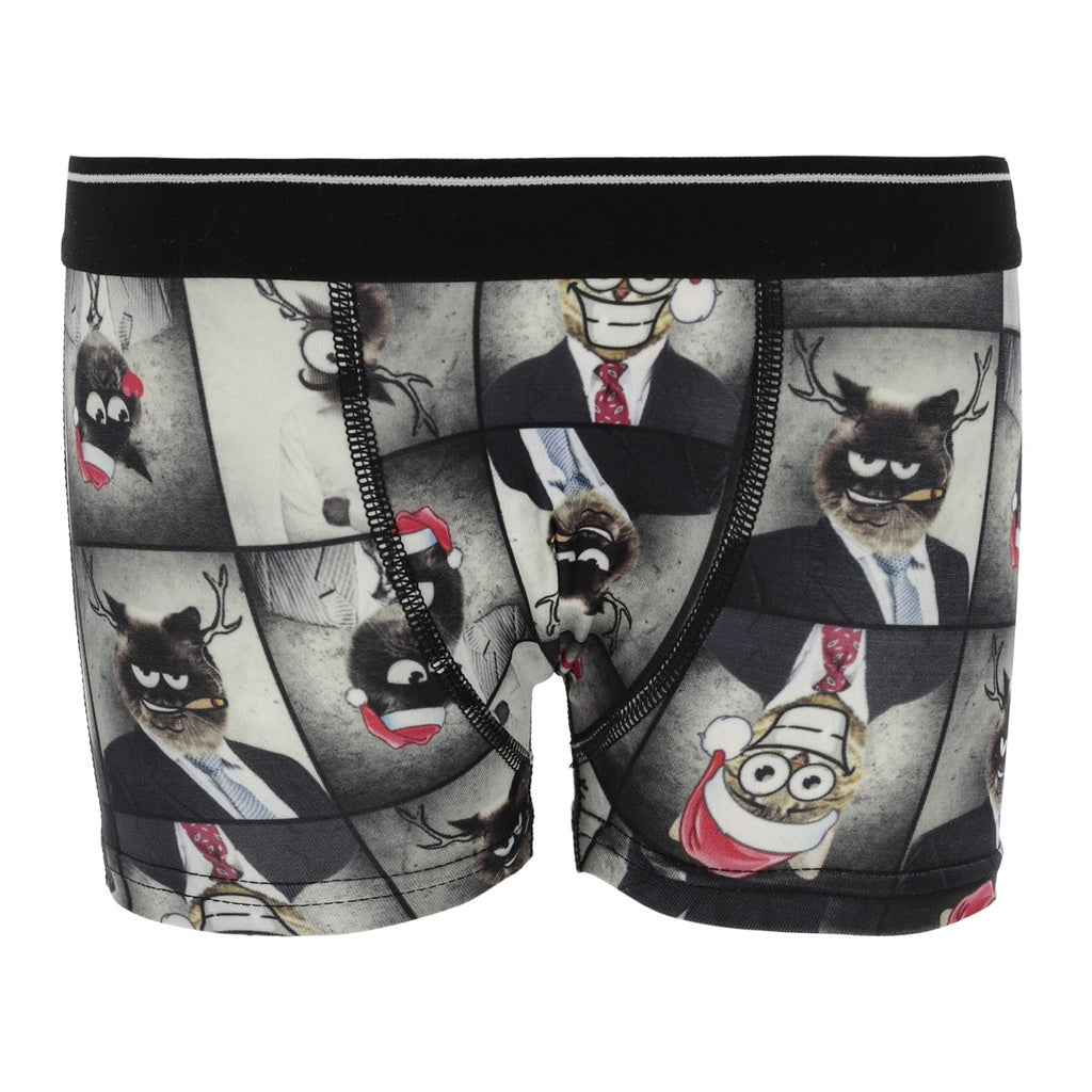 Imprimé Bull Dog de Noel