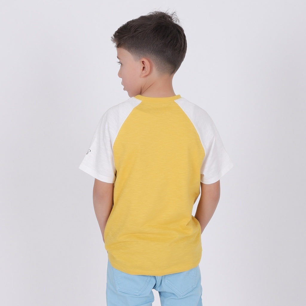 Jaune & Blanc Écru