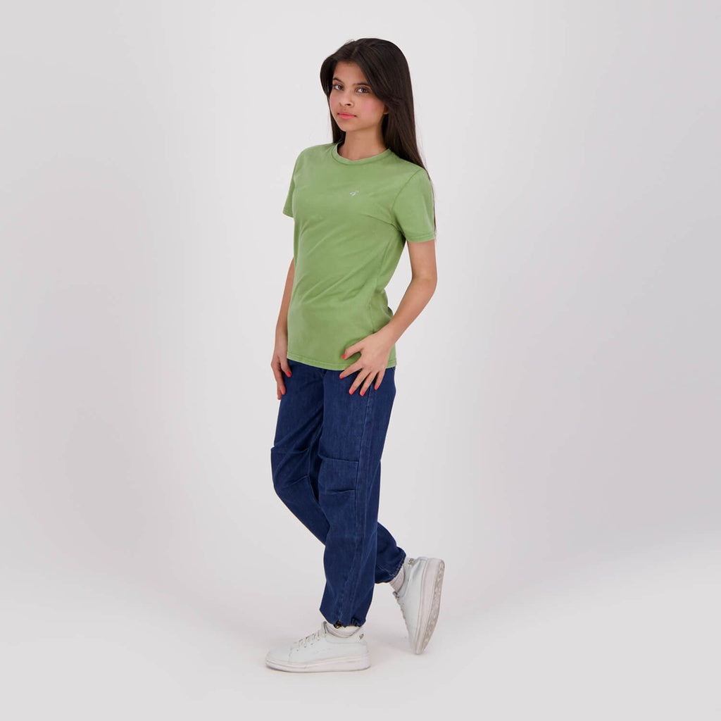 Vert Délavé