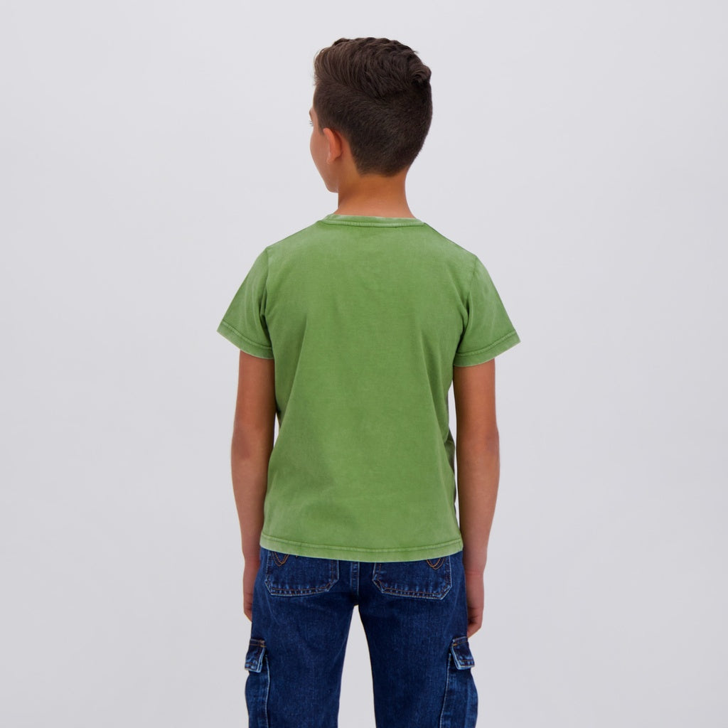 Vert Délavé
