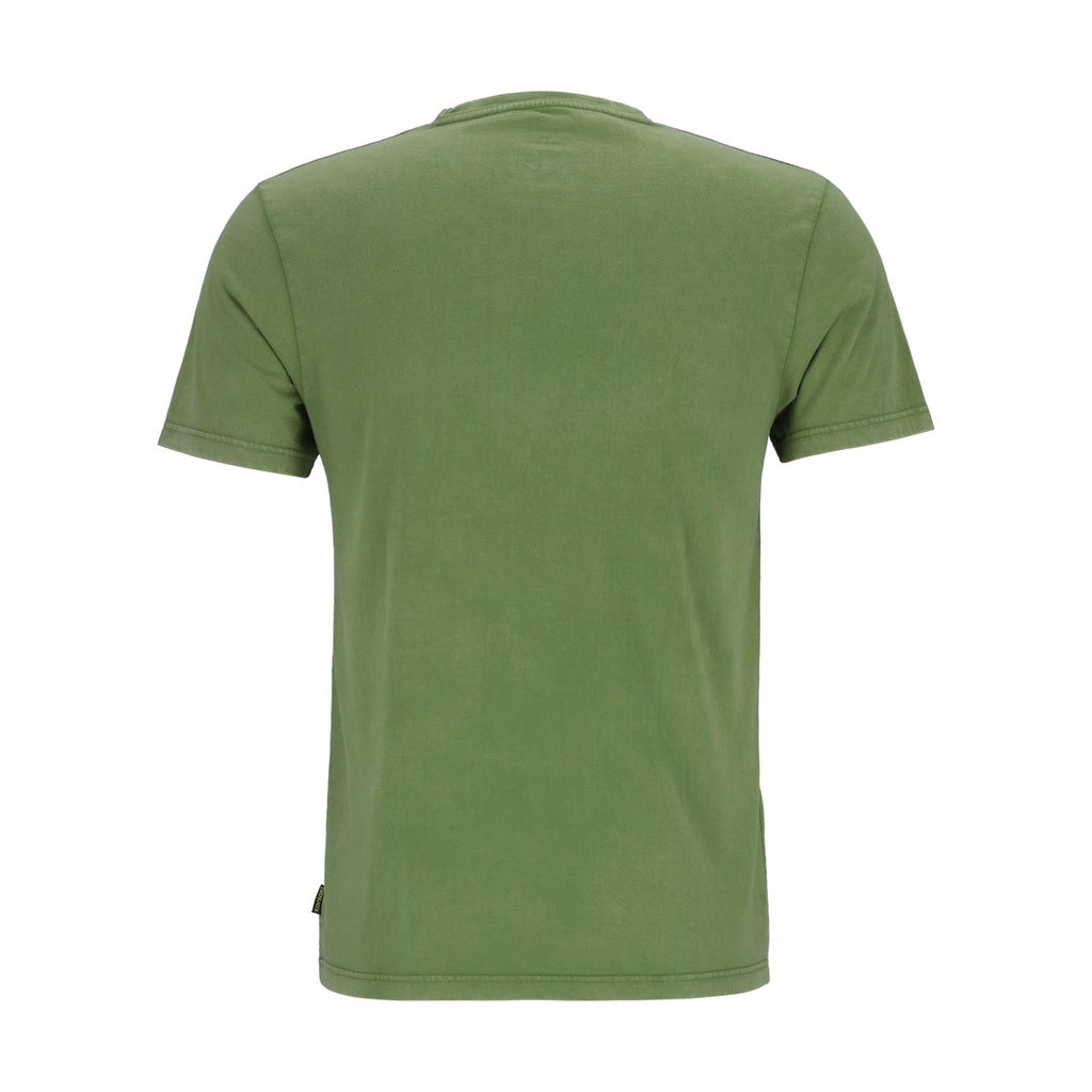 Vert Délavé