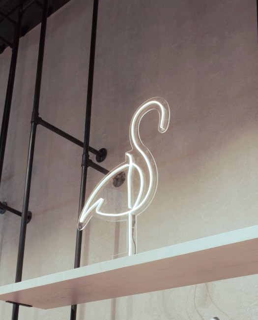 Dessin Animalier Flamant Rose Dessiné à La Main PNG , Clipart Flamant Rose,  Peinte à La Main, Dessin Animé Image PNG pour le téléchargement libre