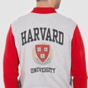 Bombers homme HARVARD