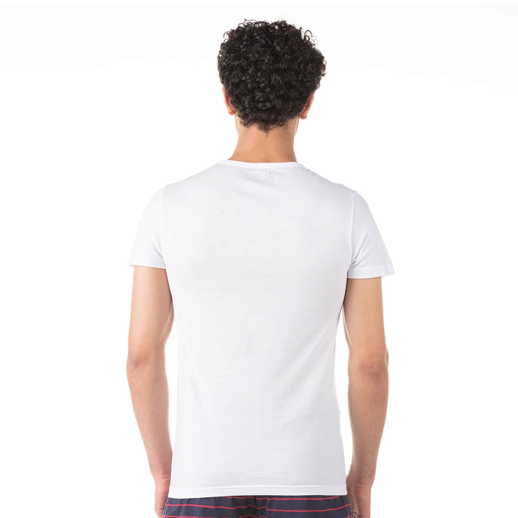 T-shirt homme col V en coton pur