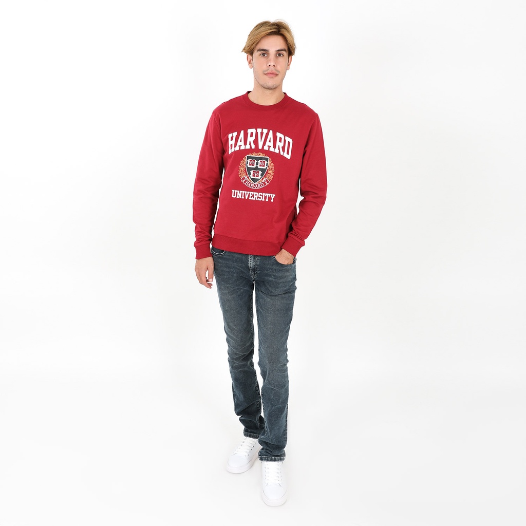 Sweat homme HARVARD