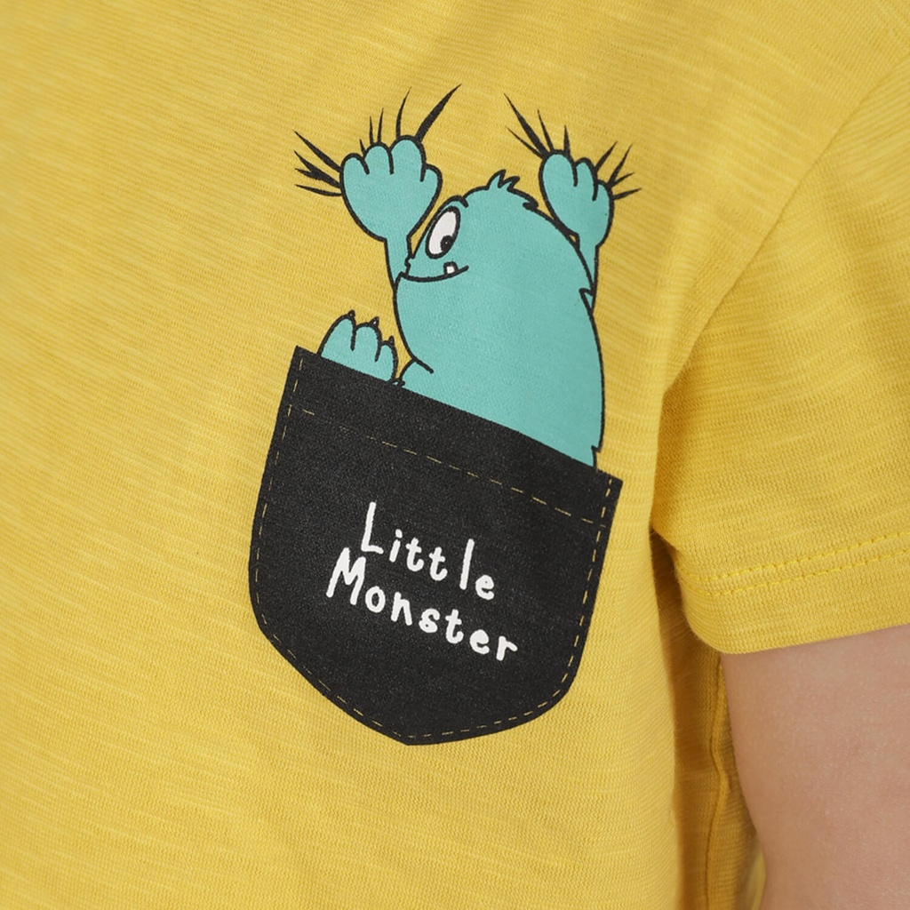 T-shirt flammé bébé LITTLE MONSTER