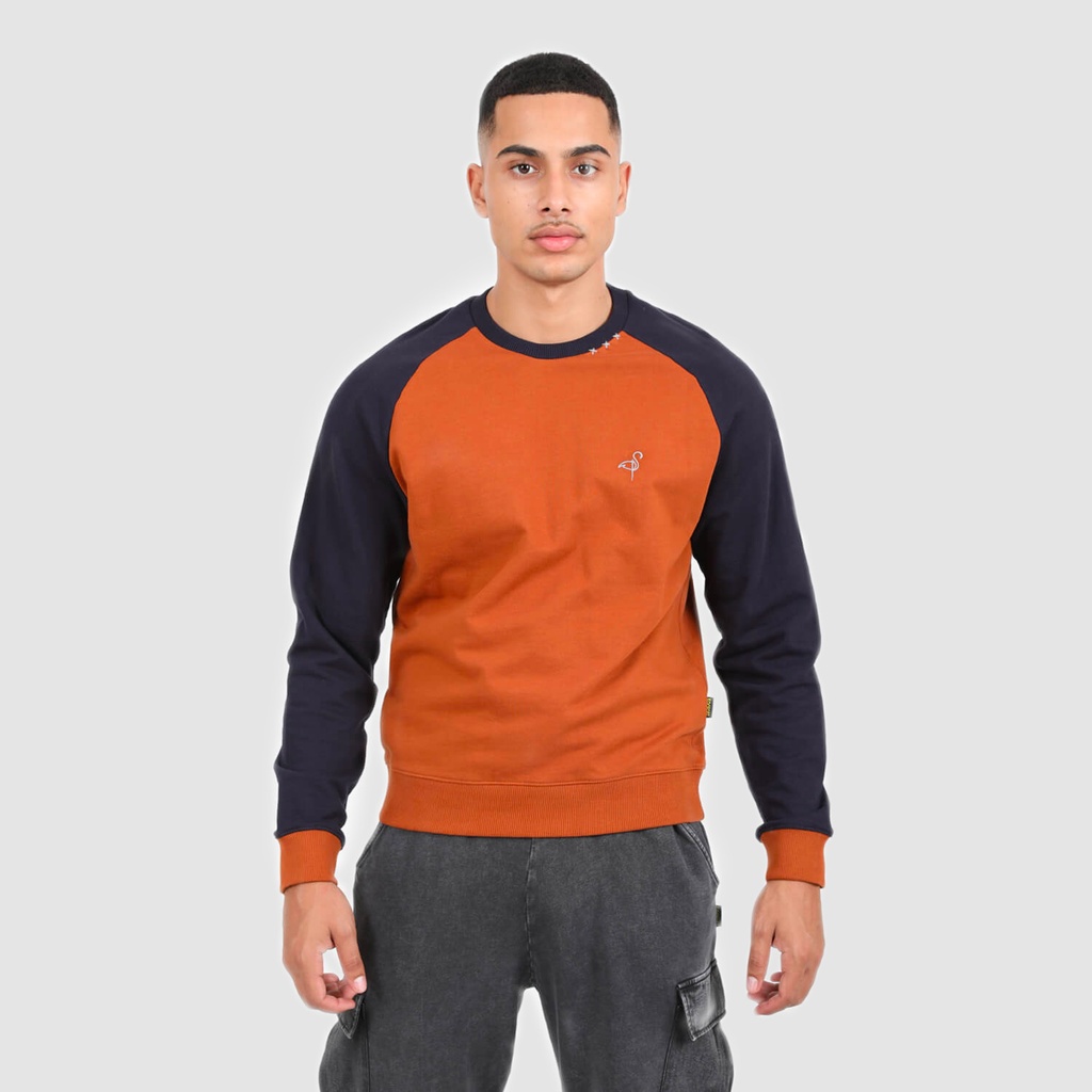 Sweat homme manches raglan avec broderie