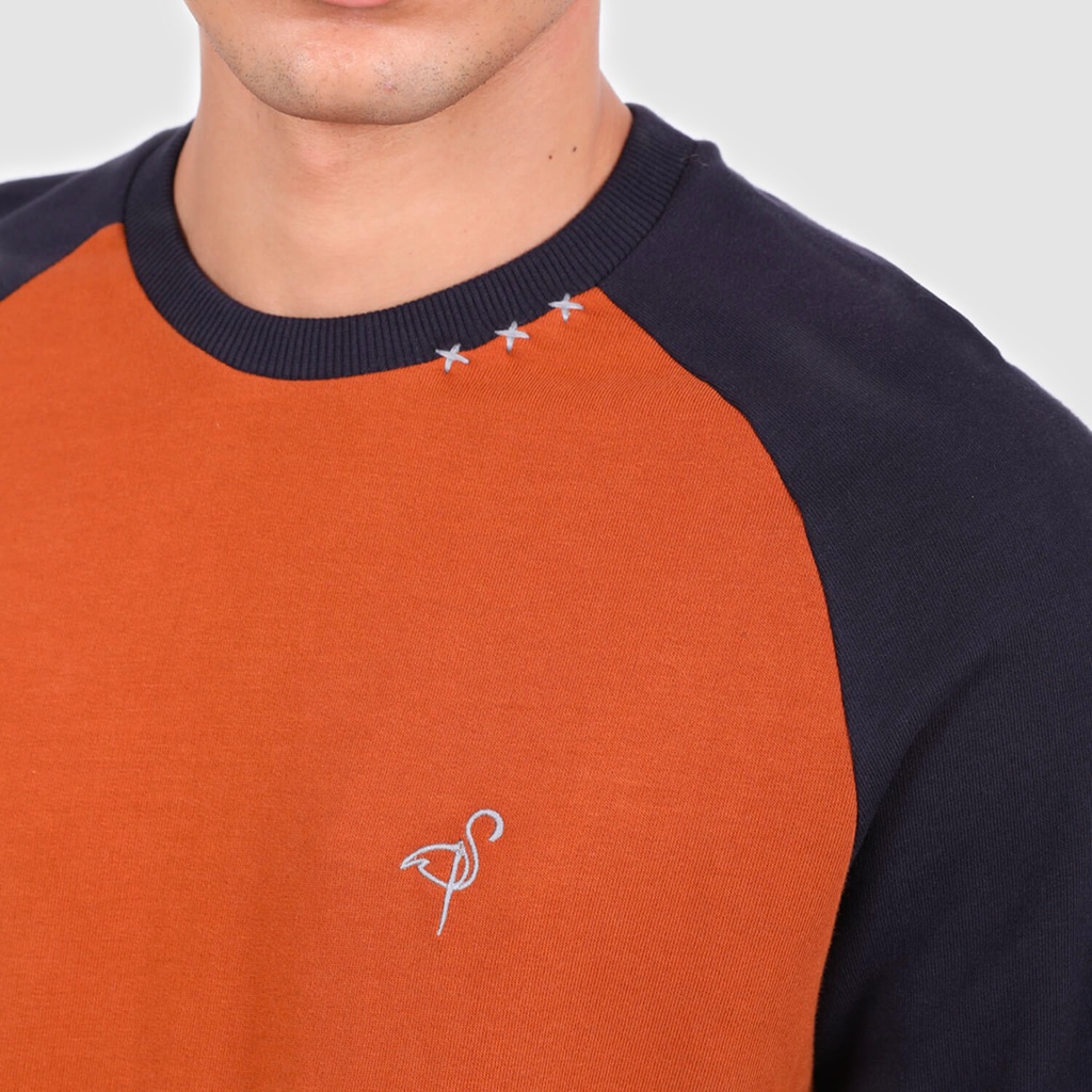 Sweat homme manches raglan avec broderie