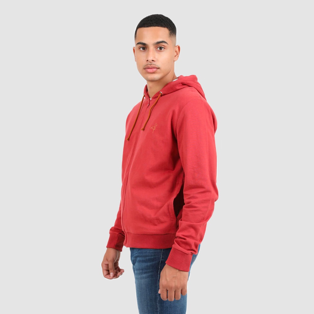 Hoodie zippé homme INTO THE DESERT