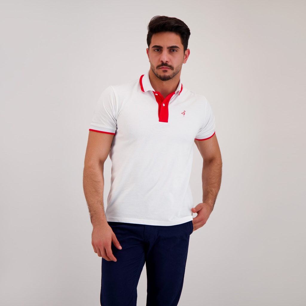 Polo homme manches courtes avec broderie et patte contrasté