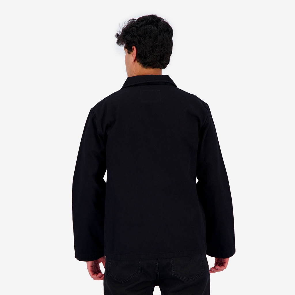 Dengri adulte unisexe