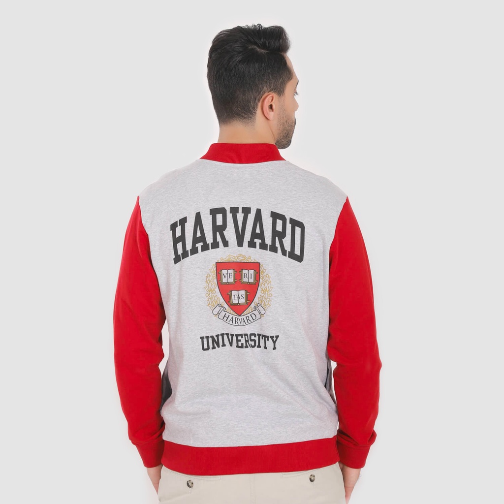 Bombers homme HARVARD