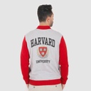 Bombers homme HARVARD