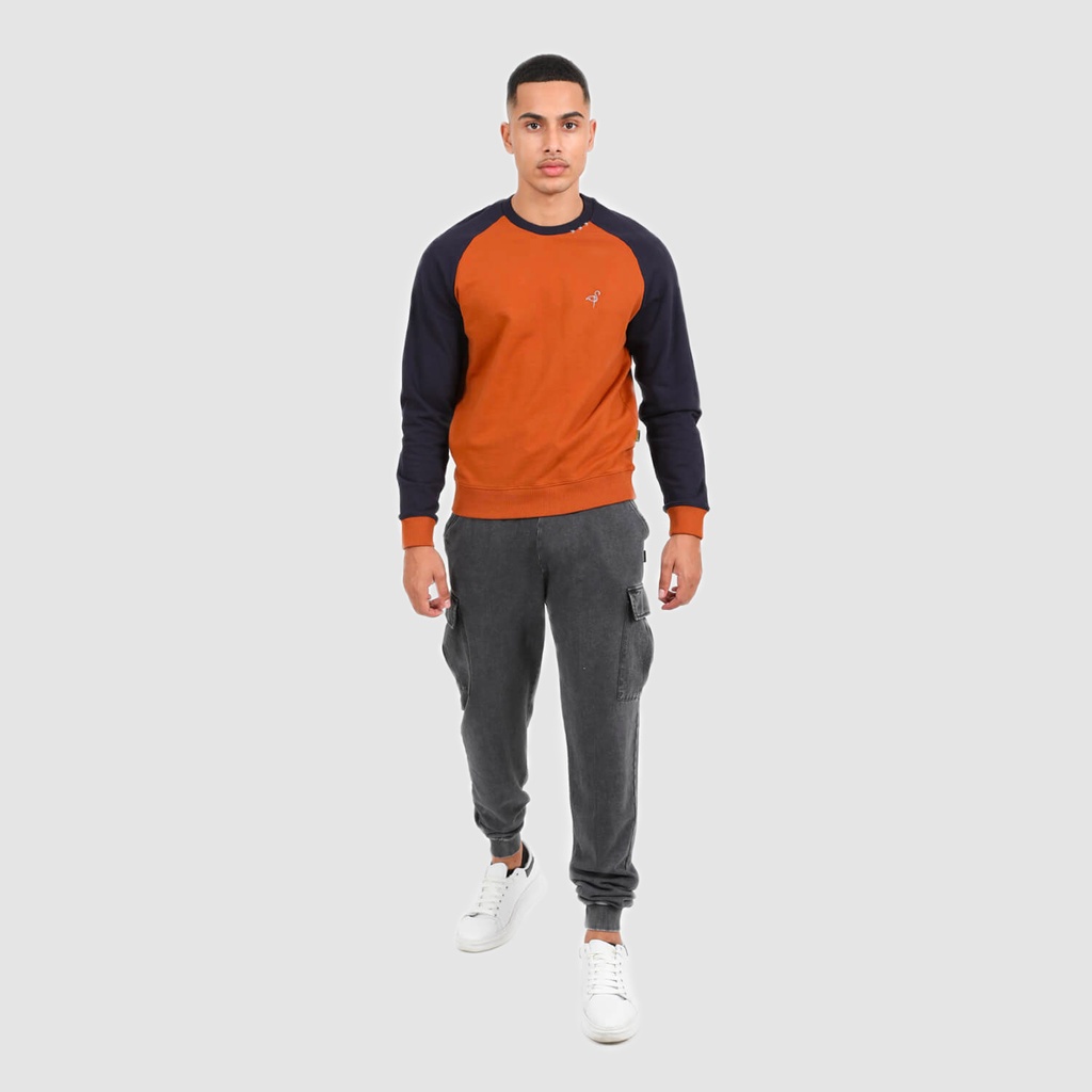 Sweat homme manches raglan avec broderie