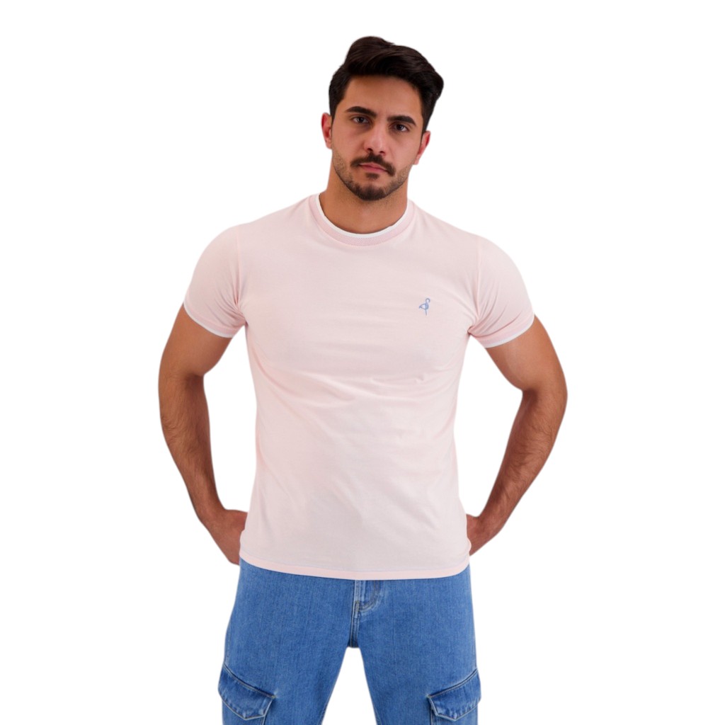 T-shirt homme manches courtes avec bande rectiligne et broderie