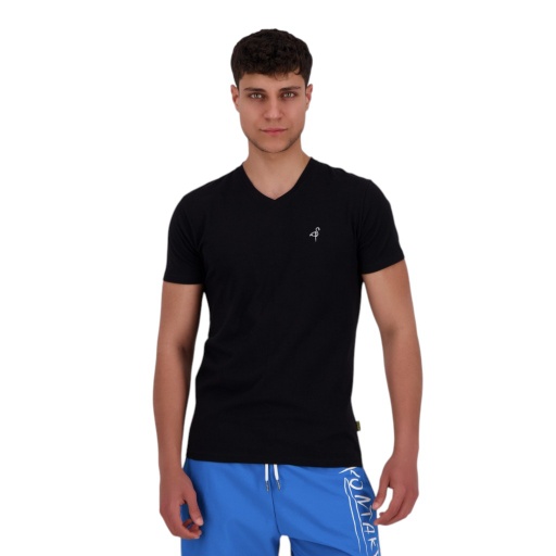 [05-010-02-625-K040-L] T-shirt slim homme manches courtes col v avec  broderie (Noir, L)
