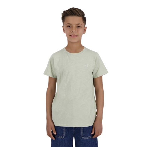 [05-010-02-637-K399-10/12A] T-shirt flammé garçon manches courtes avec broderie (Vert D'eau, 10/12A)