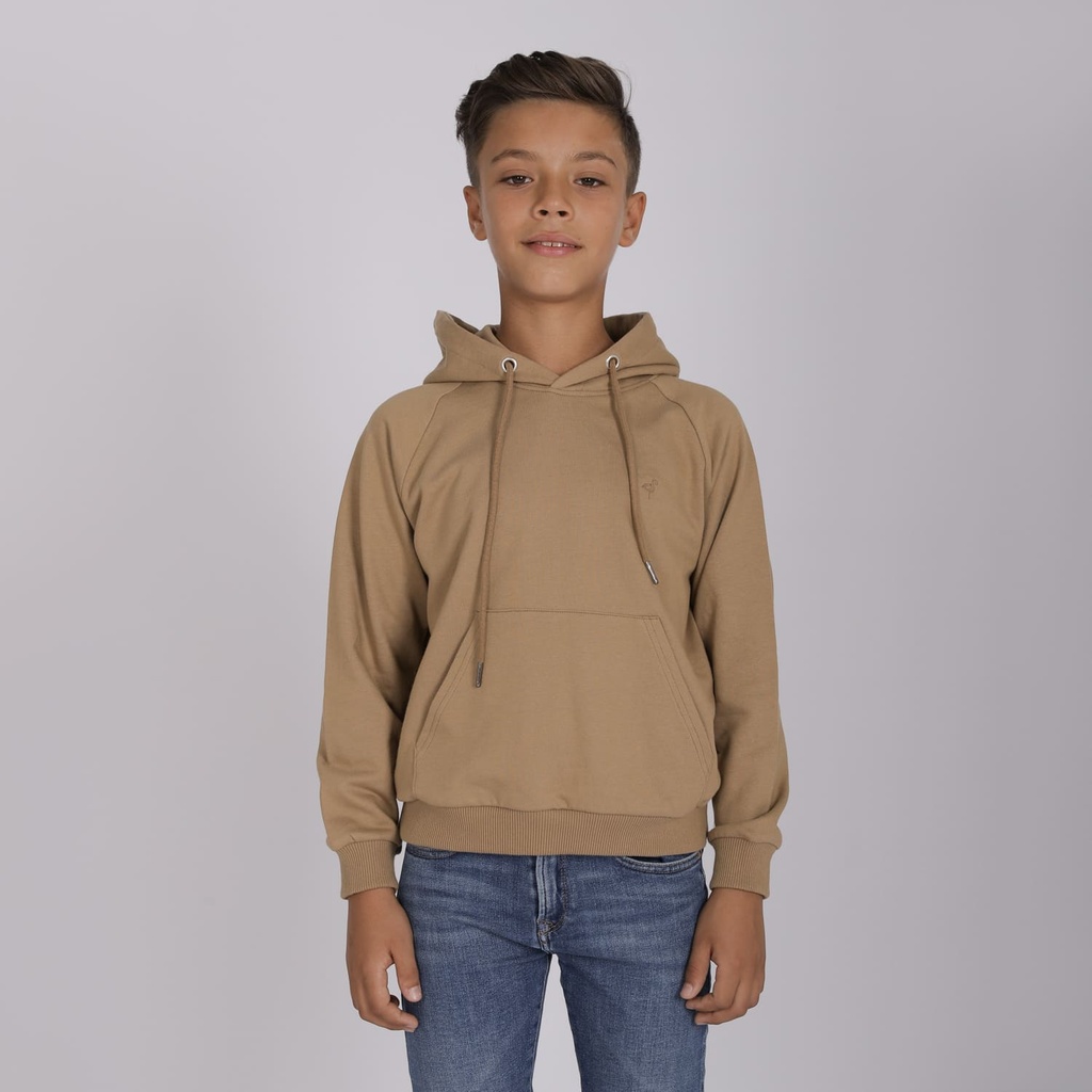 Hoodie garçon manche raglan avec broderie