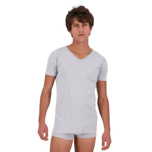 [05-010-02-821-K025-L] T-shirt slim homme col V en jersey (Gris Chiné, L)