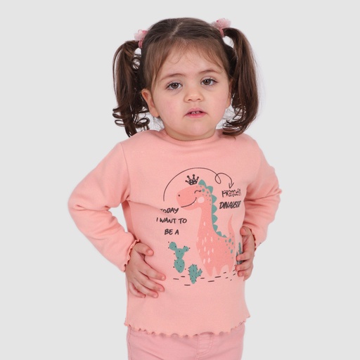 T-shirt côtelé bébé manches longues DINOSAUR